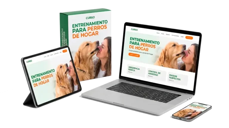 Entrenamiento para Perros de Hogar-curso online